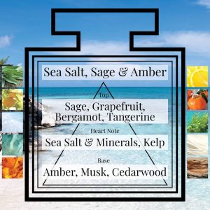 Pairfum Fragrance Sea Salt Sage Amber Triangle Ingredients Pairfum Fragrance Sea Salt Sage Amber Triangle Ingredients
