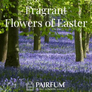 Pairfum London Fragrance Flowers Of Easter Bluebell Woodland