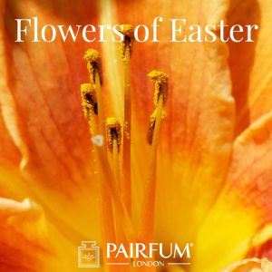 Pairfum London Fragrance Lily Flowers Of Easter