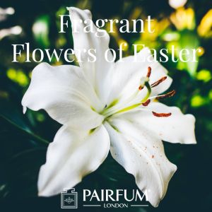 Pairfum London Fragrant Flowers Of Easter White Lily