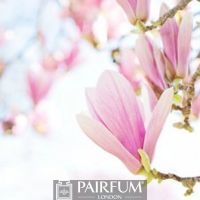 LIGHT PINK MAGNOLIA ARTWORK