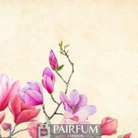 MUCH DARKER MAGNOLIA ARTWORK