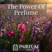 PERFUME TREND FLOWERS IN A MEADOW