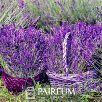 PERFUME INNOVATION LAVENDER BASKET