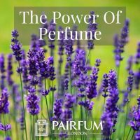 PERFUME TREND MAGNOLIA FLOWERS