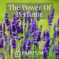 PERFUME TREND MAGNOLIA FLOWERS