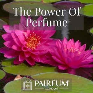 PERFUME TREND PINK FLOWERS ON LILIPADS