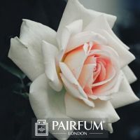 FRAGRANCE TREND WHITE PINK ROSE