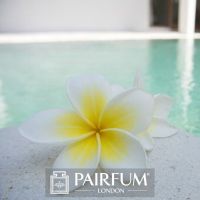 PERFUME TREND WHITE ROSE ON WATER