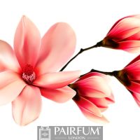 RED MAGNOLIA FLOWER ARTWORK