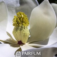 WHITE MAGNOLIA FLOWER POLLEN