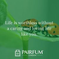 Love Messages For Wife Nature Background