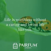 Love Messages For Wife Nature Background
