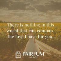 Marriage Wedding Dress Couple Love Messages In A Meadow