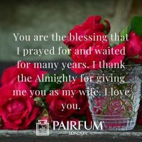 Romantic Rose Petals Love Messages