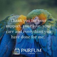 Romantic Love Messages With Animals Bird