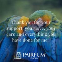 Romantic Love Messages With Animals Bird