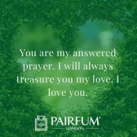 Romantic Wife Husband Partner Love Messages Heart In A Shrub