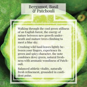 Pairfum London Perfume Bergamot Basil Patchouli Description Pairfum London Perfume Bergamot Basil Patchouli Description