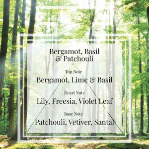 Pairfum London Perfume Bergamot Basil Patchouli Triangle Pairfum London Perfume Bergamot Basil Patchouli Triangle