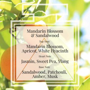 Pairfum London Perfume Mandarin Blossom Sandalwood Triangle Pairfum London Perfume Mandarin Blossom Sandalwood Triangle